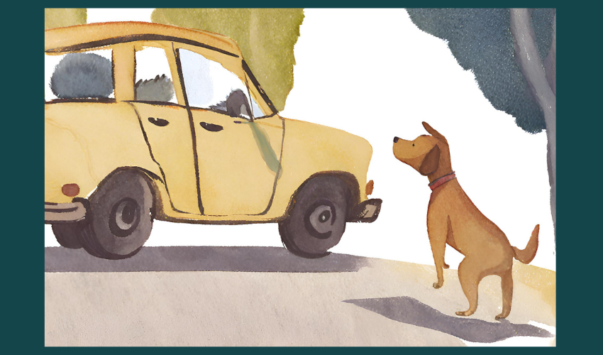 dog_watching_car_drive_away_wine_sales_stimulator